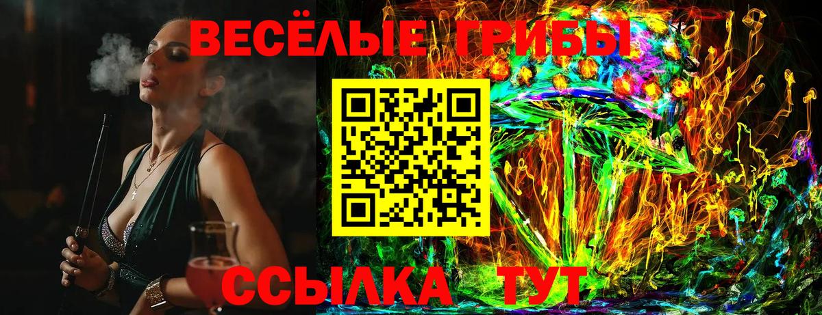 Псилоцибиновые грибы прущие грибы Железноводск
