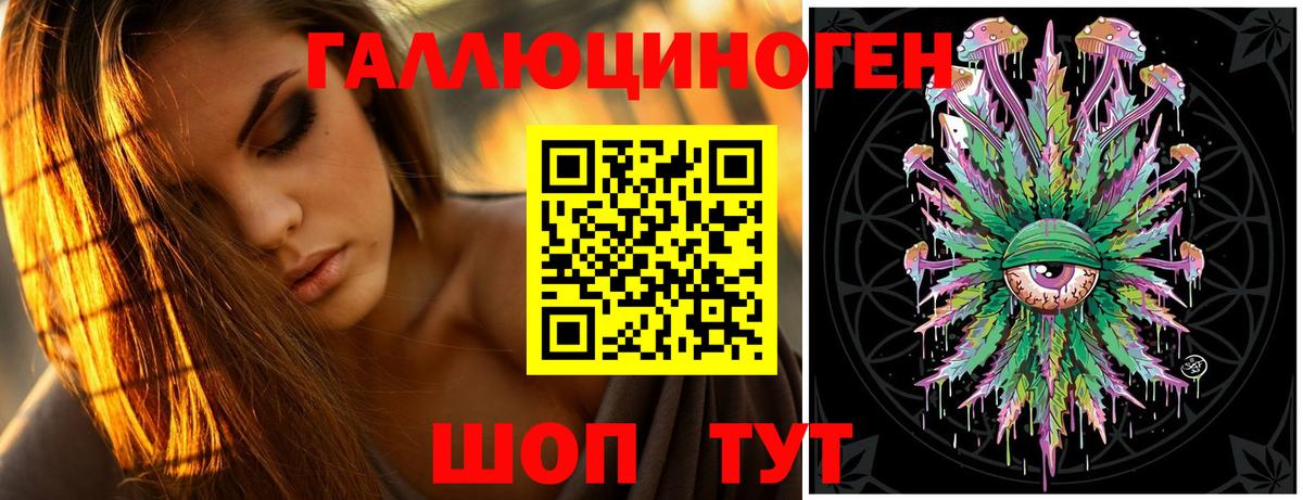 Псилоцибиновые грибы Psilocybine cubensis  Вход с VPN  Железноводск 